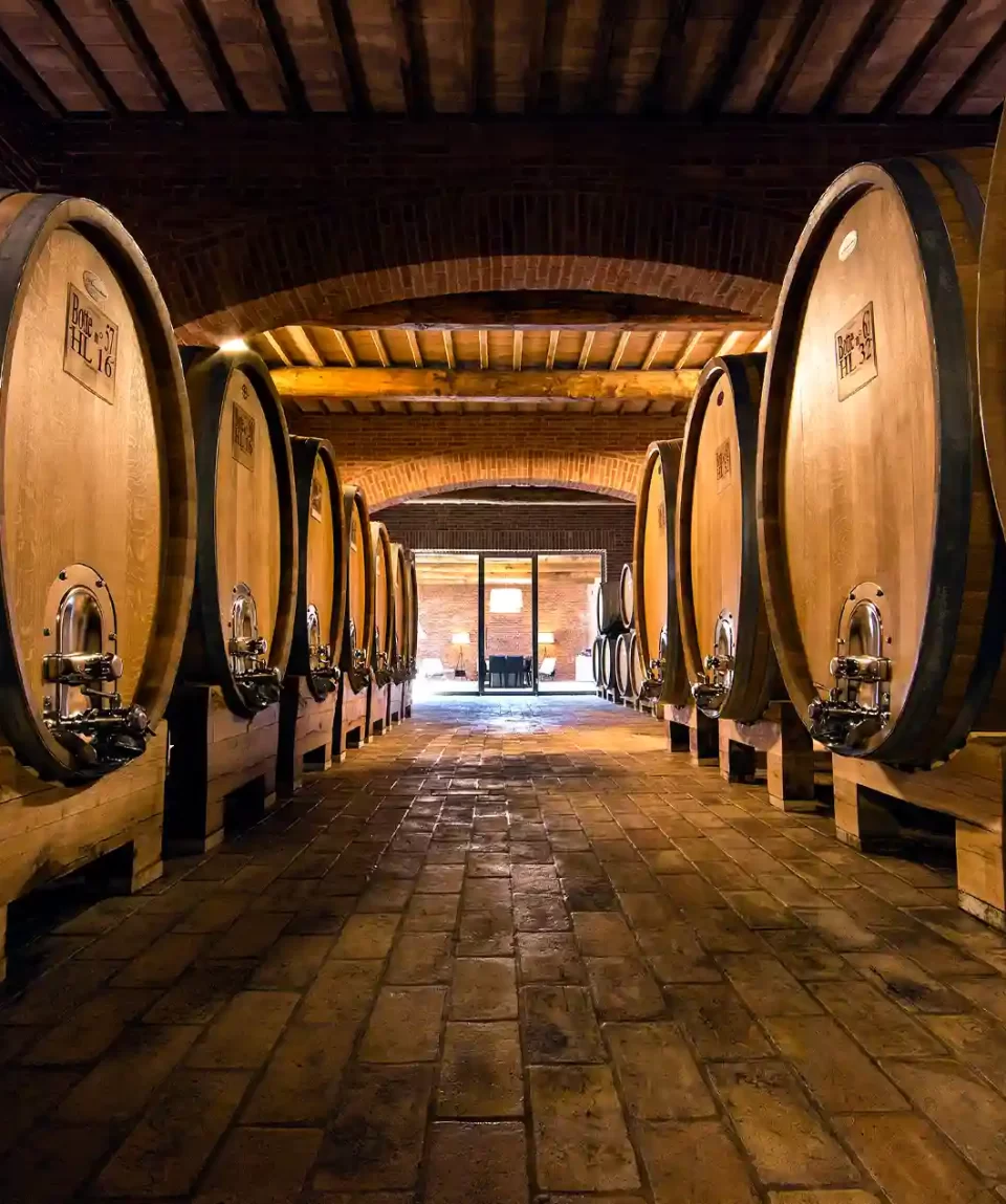 private Brunello di Montalcino wine tasting best Brunello di Montalcino Wine Tour with driver and lunch